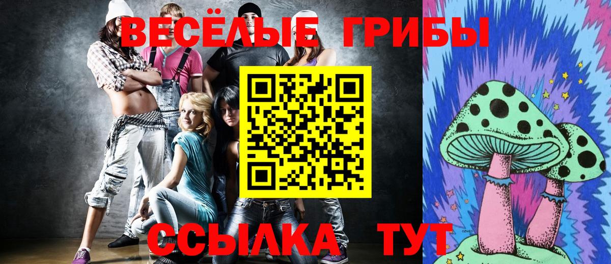 Галлюциногенные грибы Cubensis Хабаровск