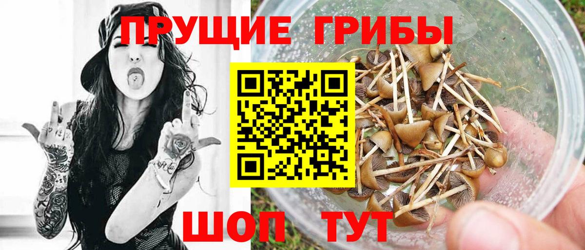 Галлюциногенные грибы Magic Shrooms  Вход с VPN  даркнет сайт  Хабаровск  Псилоцибиновые грибы MAGIC MUSHROOMS 